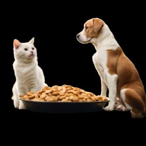 Read more about the article Regular or Organic Pet Food: Making the Best Choice