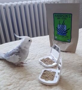 Organic Bird Food