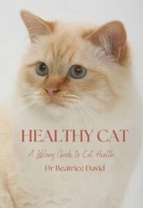 A Lifelong Guide to Cat Health