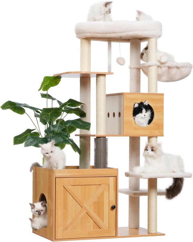 Indoor Cat Furniture