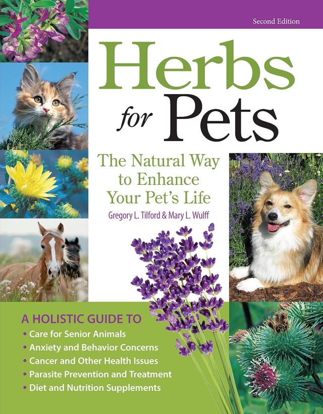 natural remedies for pets