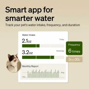 smart cat water fountain