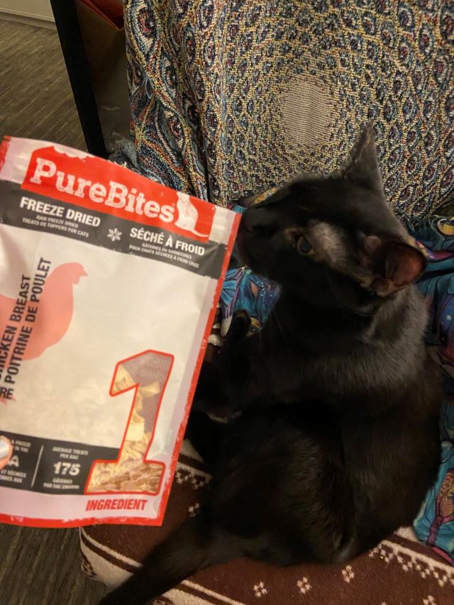 PureBites Treats