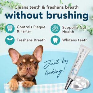 brush-free toothpaste