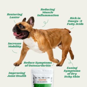 anti-inflammatory for dogs