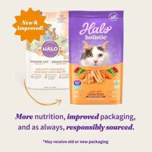 Holistic Cat Food