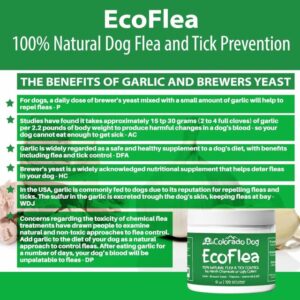 Chemical-free flea treatment