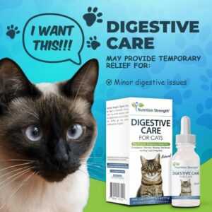 Cat digestive care