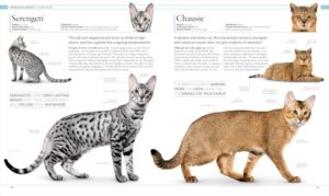 Cat breeds guide