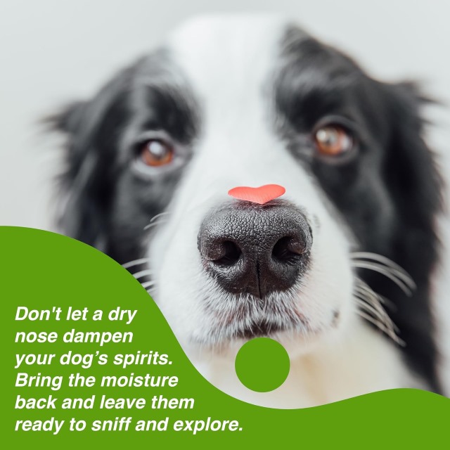 dog nose balm