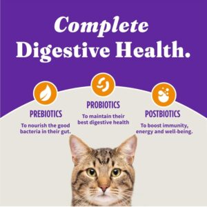 Cat Digestive Health