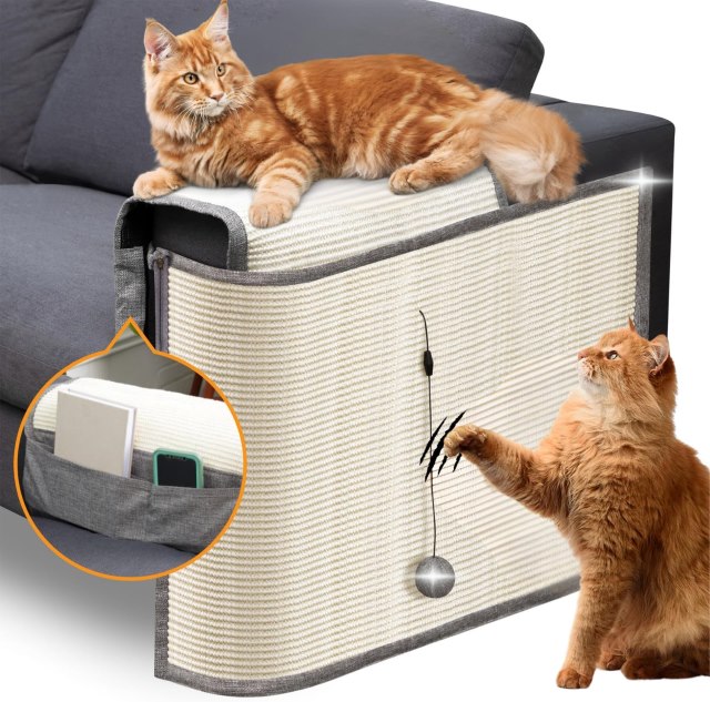 Furniture protection for cat owners