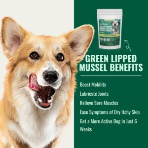 natural dog supplements