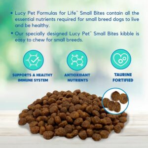 natural dog food