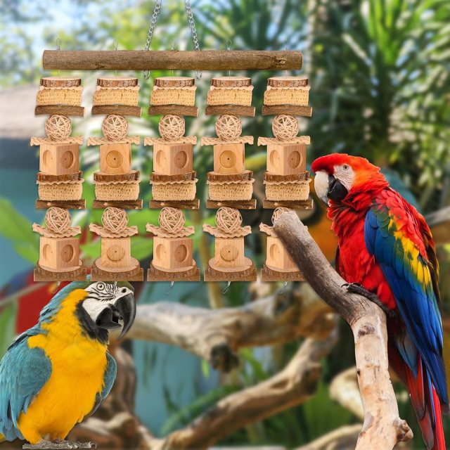 Eco toys for parrots