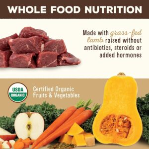 Healthy Dog Nutrition