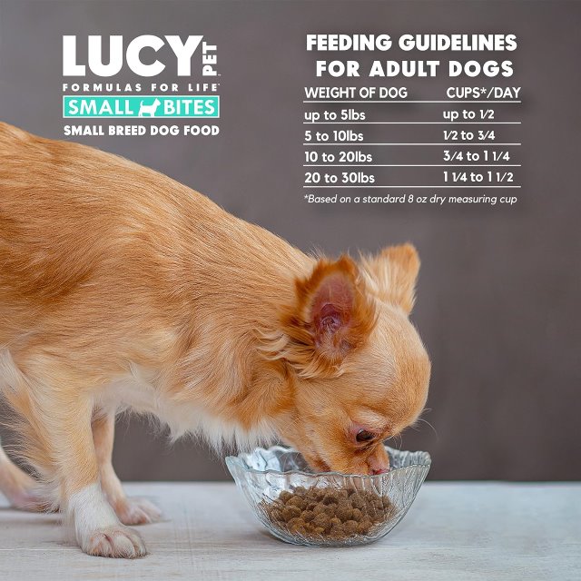 Lucy Pet Products