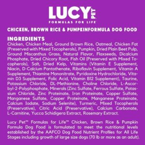 eco-friendly dog ​​food