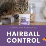 Wellnergy Pets Natural Hairball Control Chews For Cats