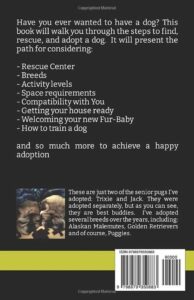 Pet adoption guide