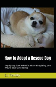 Rescue dog adoption