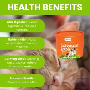 Pet Nutrition Tips