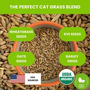 Cat Grass Benefits