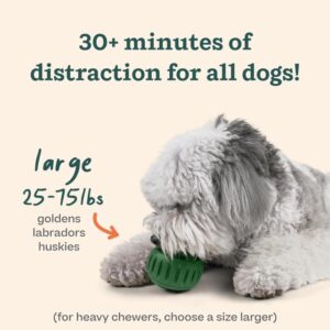 Eco-Friendly Dog Toys