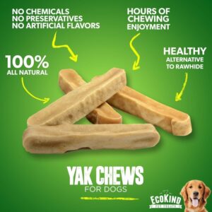 Healthy treats for dogs